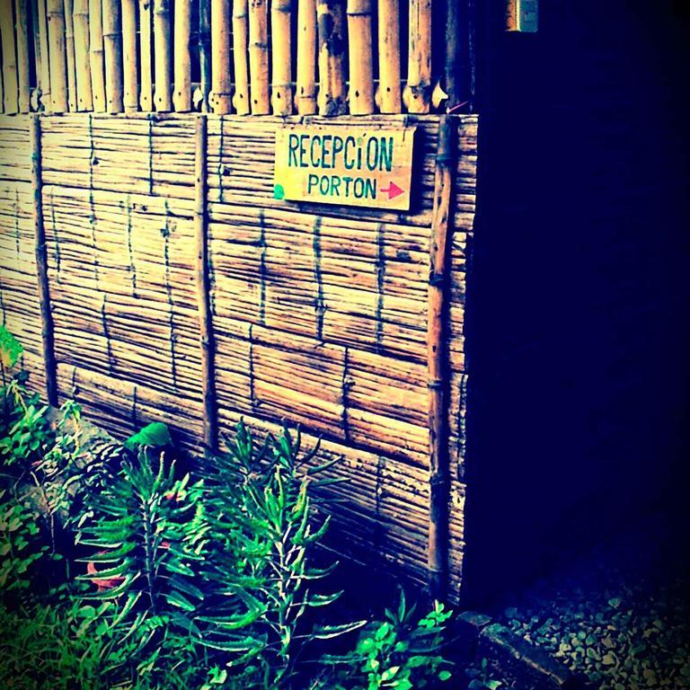 The Mudhouse Hostel Mompiche Exterior foto